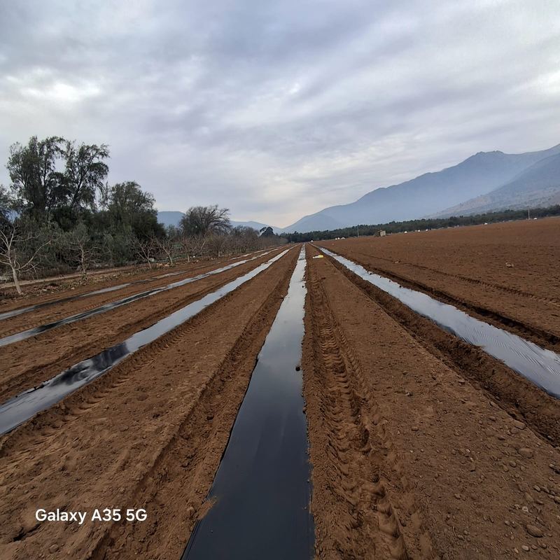 Reparación de camino rural en Melipilla