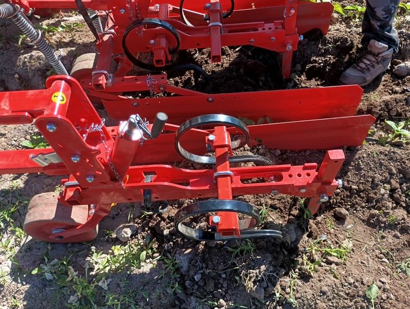 Preparación de suelo para siembra en Melipilla