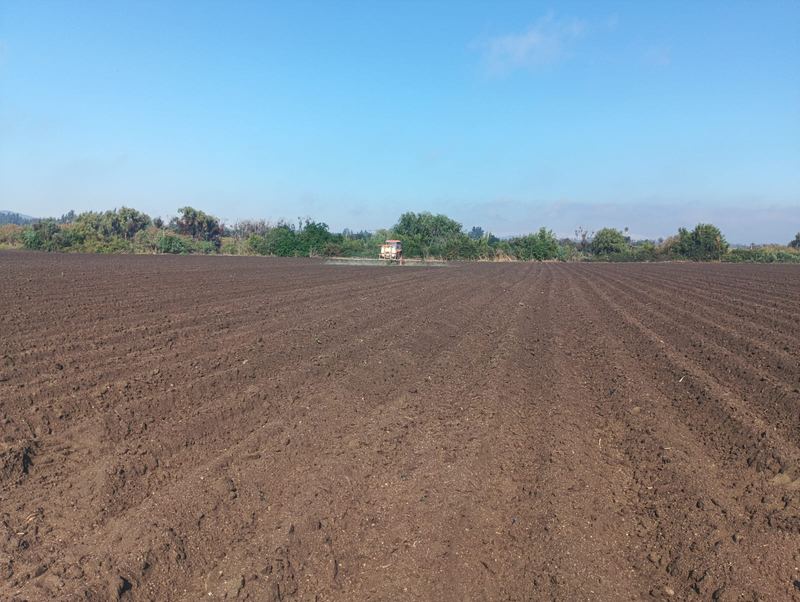 Instalación de riego por goteo en Melipilla